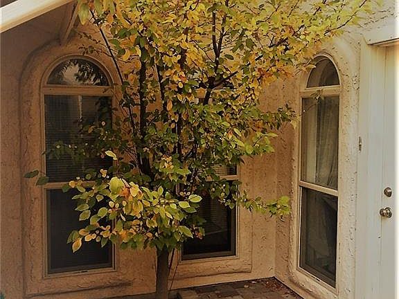 3rd image of 1736 Pico Alto Dr
