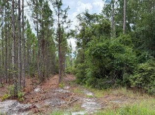 0 Corbitt Rd, Manor, GA 31550