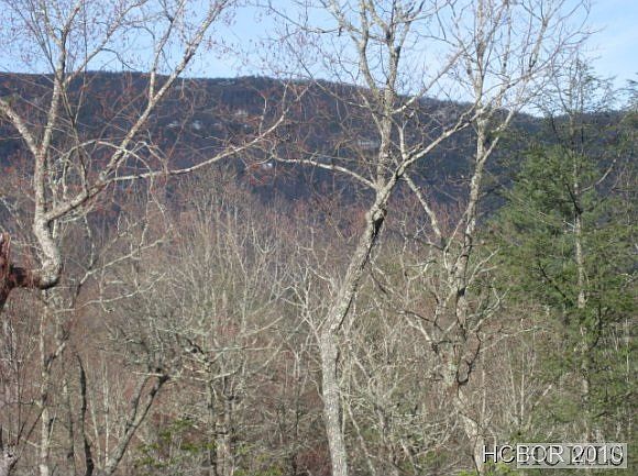 1st image of 20 Toxaway Trail