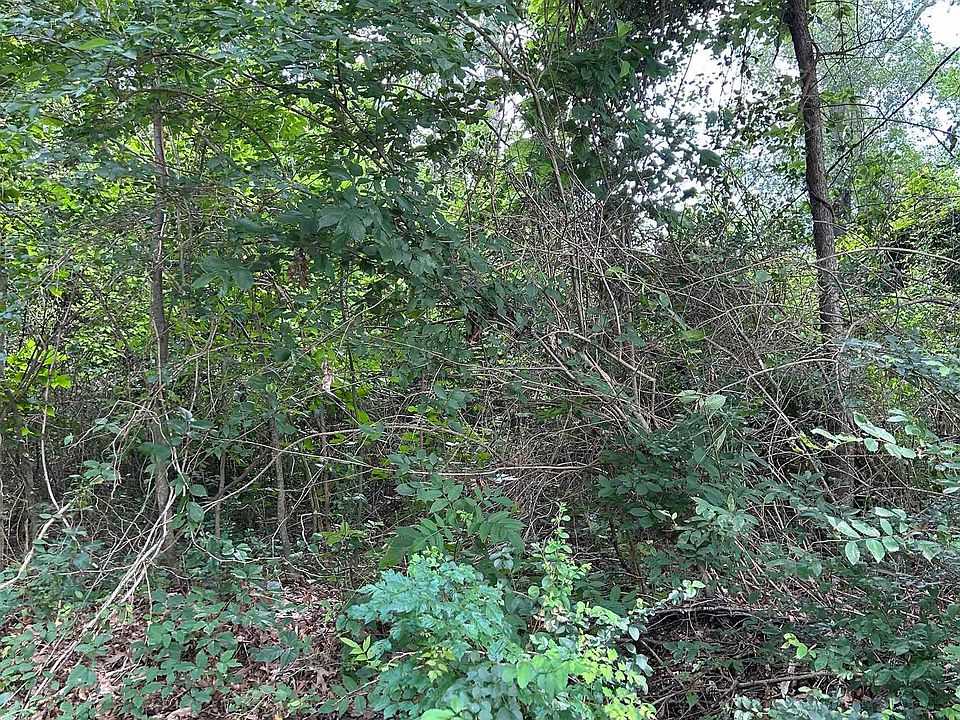 2nd image of 467 Williams St