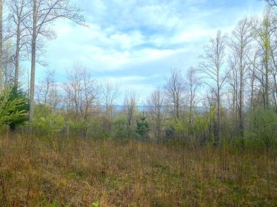 Greentree Ln, Galax, VA, 24333