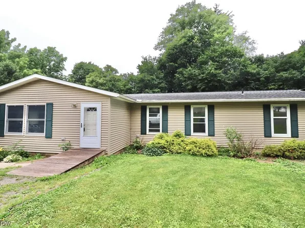 113 Gaylord St, Lodi, OH 44254