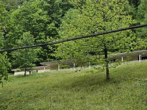 1010 Walker Hollow Rd, Nellis, WV 25142