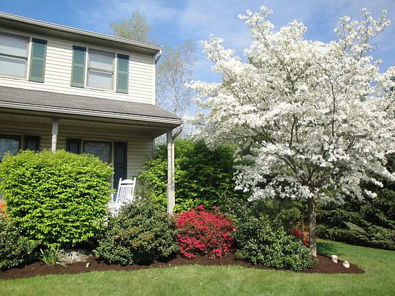 Spring flowers