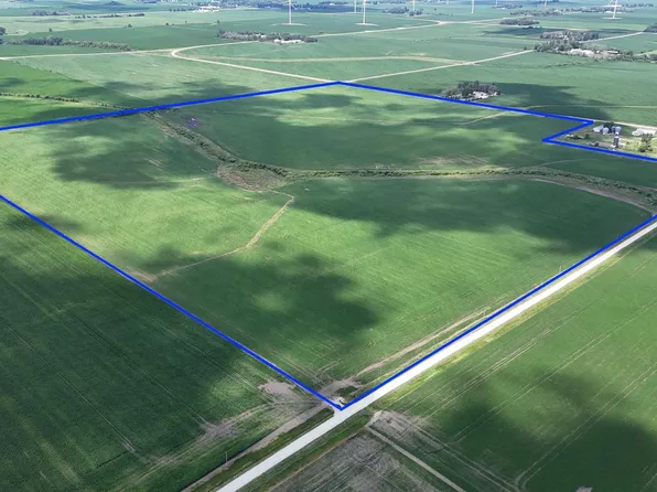 310th St, Waltham, MN 55982