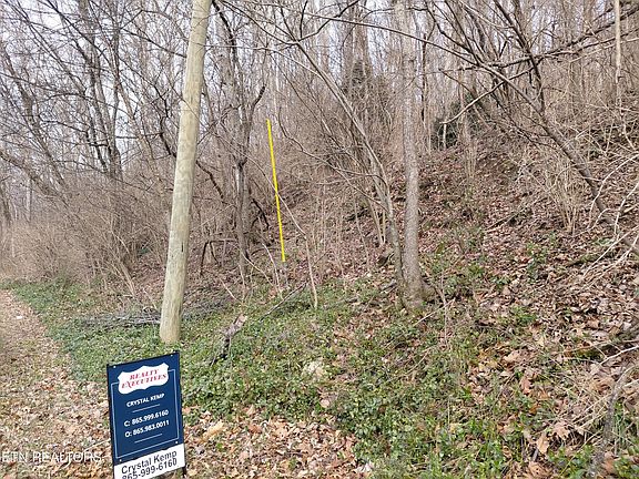 5th image of 4266 Miser Station Rd