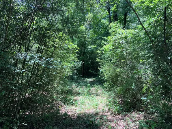 Highway 48 Ext E Lot 1, Tylertown, MS 39667