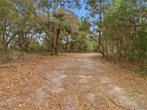 5797 N McKree Ter, Crystal River, FL 34428