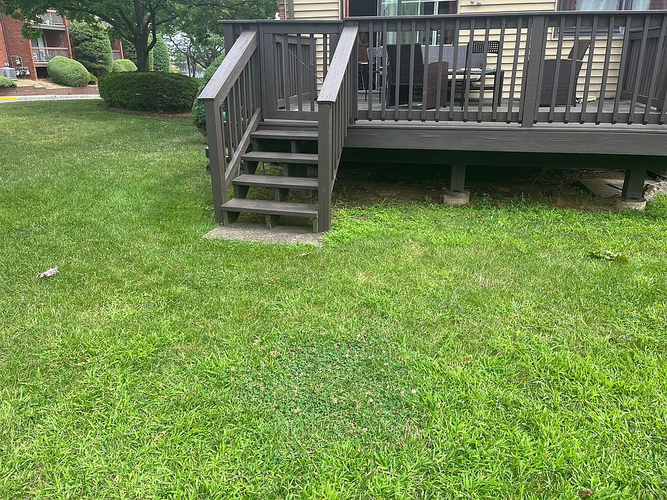 Deck with common area