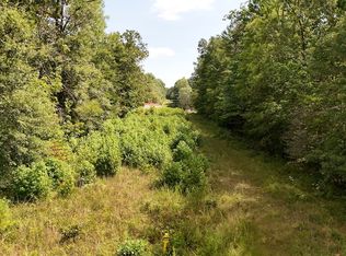 0 Blue Branch Rd LOT WP00B, Gaffney, SC 29340