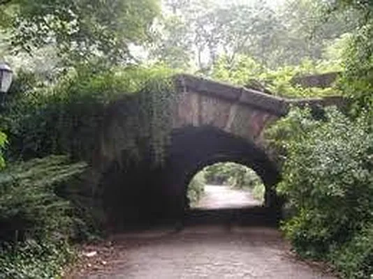 Rented by BLS Realty | media 23