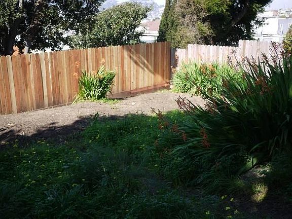 back yard