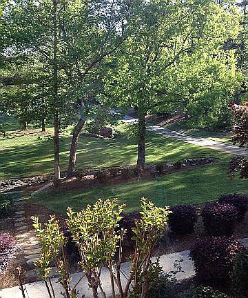 View from Formal Dining Room