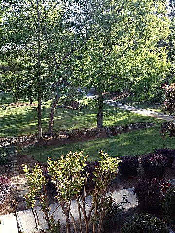 View from Formal Dining Room