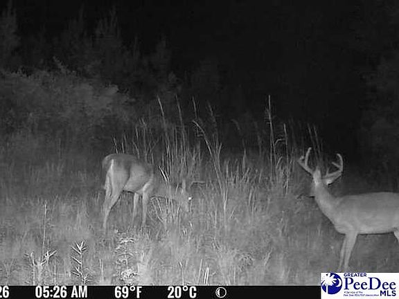 5th image of 0 Bay Catfish Rd
