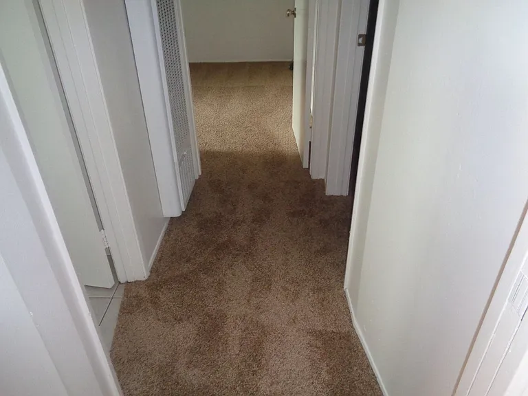 1242 Hornblend St — Photo 12