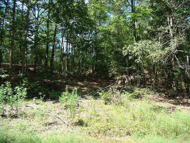 2nd image of Cypress Creek Rd