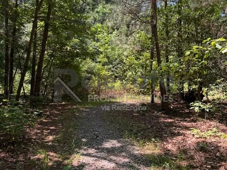 2913 Bayfront Way — Photo 17