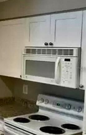 5th image of 1000 W Horatio St APT 117