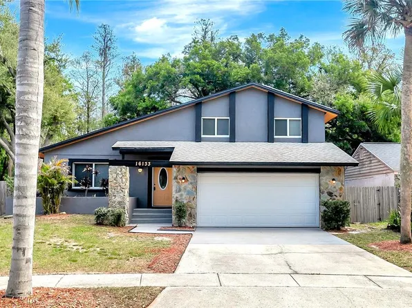 16133 Ravendale Dr, Tampa, FL 33618