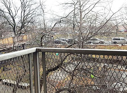 5th image of 1240 Morrison Ave APT 1H