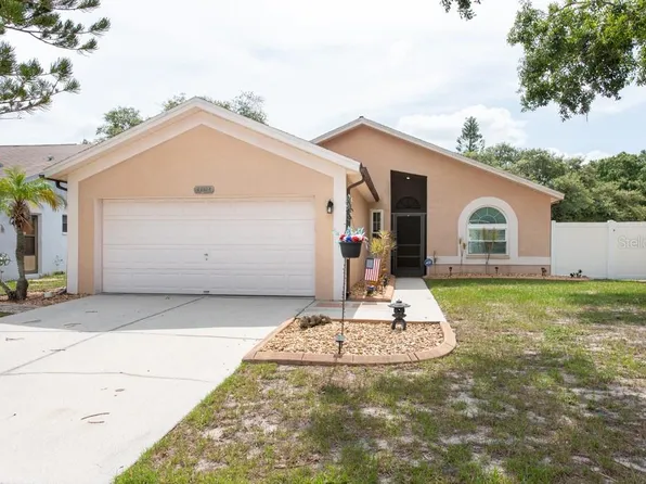 11324 Blackbark Dr, Riverview, FL 33579