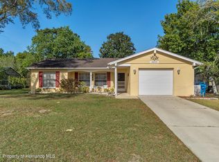 2033 Wesbitt Ave, Spring Hill, FL 34608