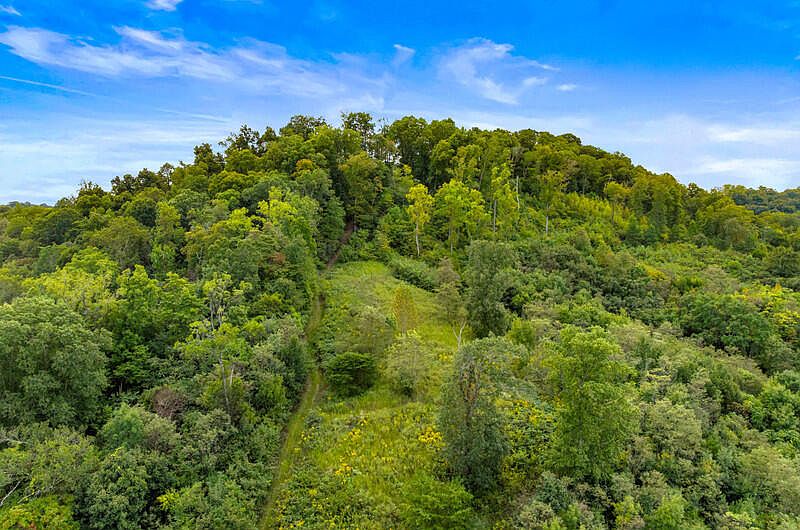 77th image of this home