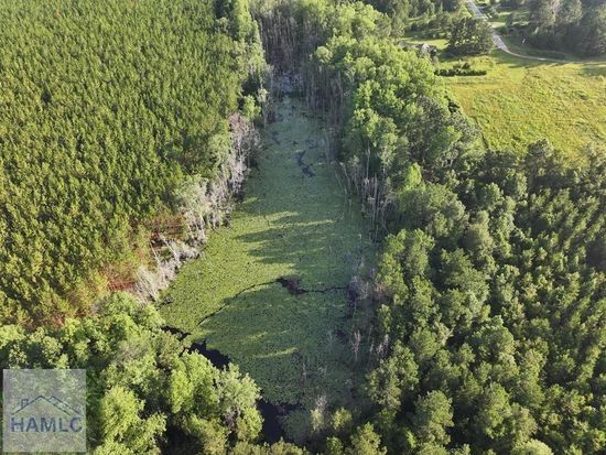 3 Oglethorpe Rd, Jesup, GA 31545
