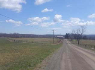 230-238 Nelson Rd, Smithville, NY 13841