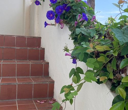 Landscaped perimeter.