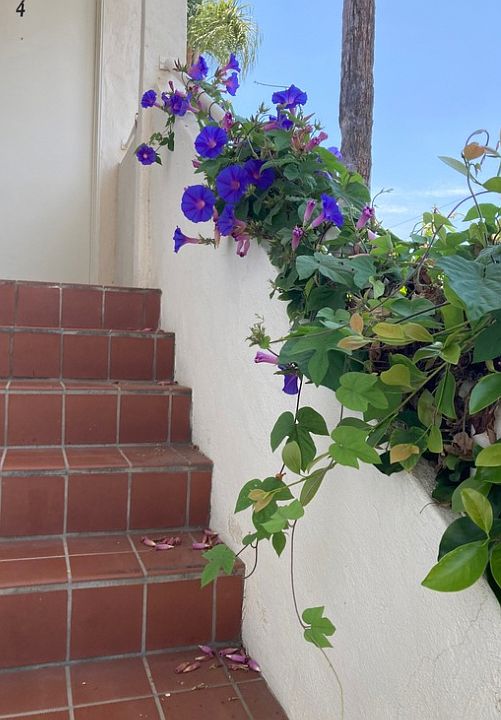 Landscaped perimeter.