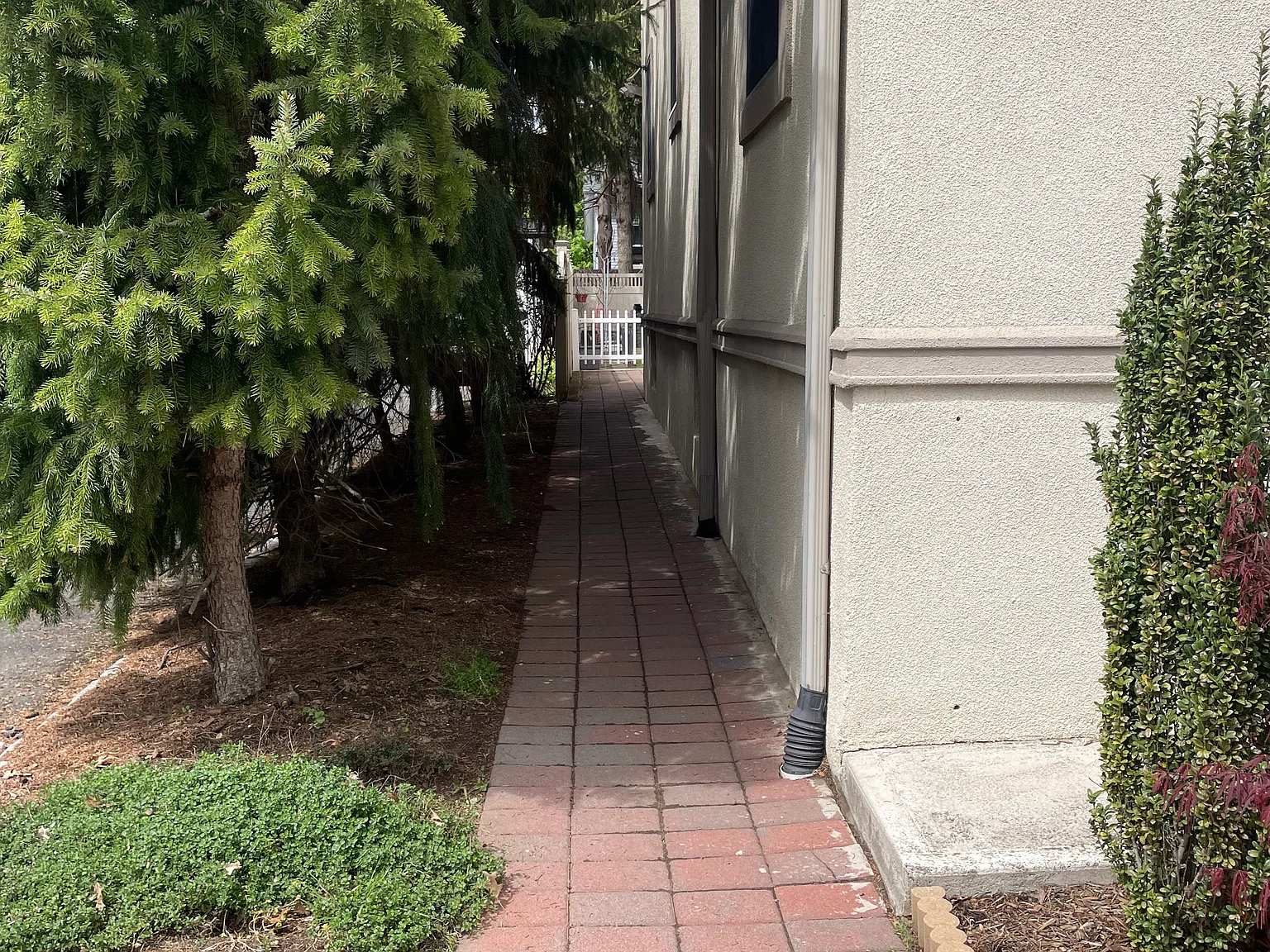 2 bed, 1210 sqft, $2,800 — Photo 3