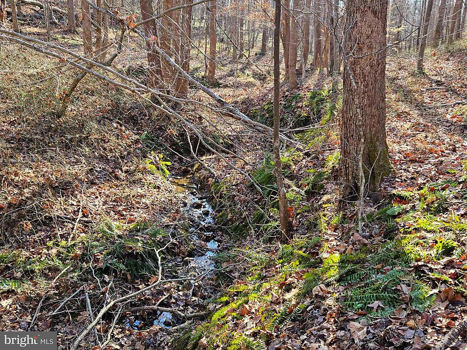 2nd image of Cedar Ln