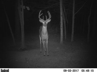 2529 Rr 2, Wyaconda, MO 63474