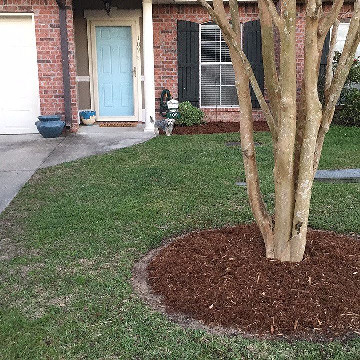 Front Yard View