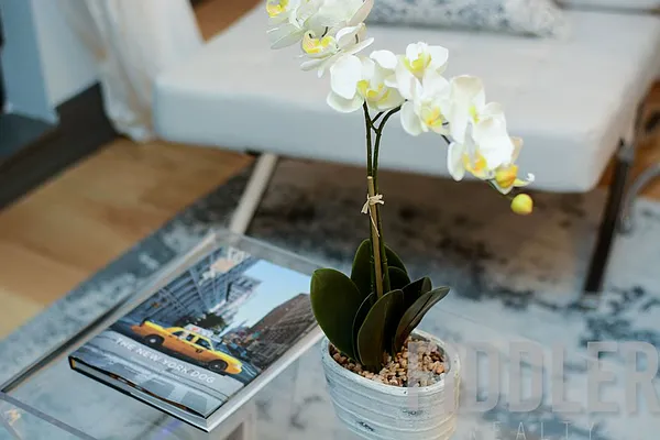 Rented by Fiddler Realty | media 55