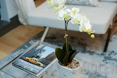 Rented by Fiddler Realty