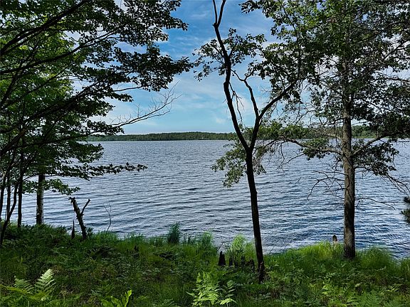 3rd image of 11149 W Merganser Lane