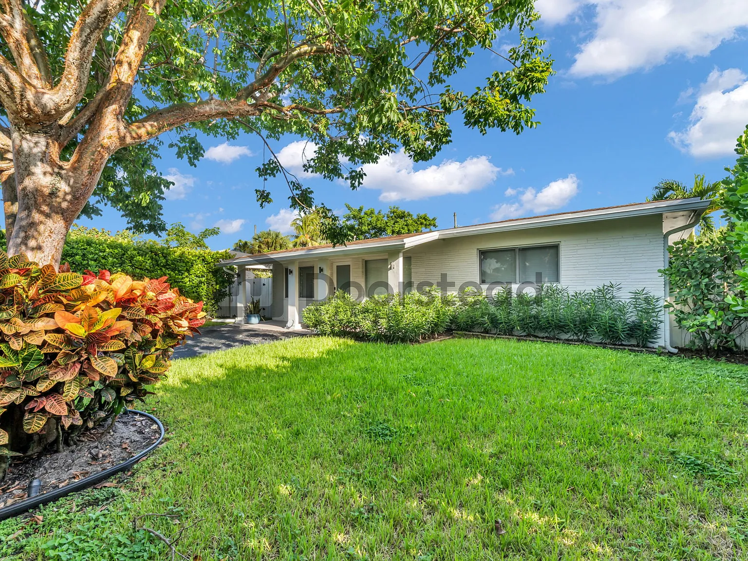 3 bed, 2.0 bath, 1190 sqft, $3,830 — Photo 4