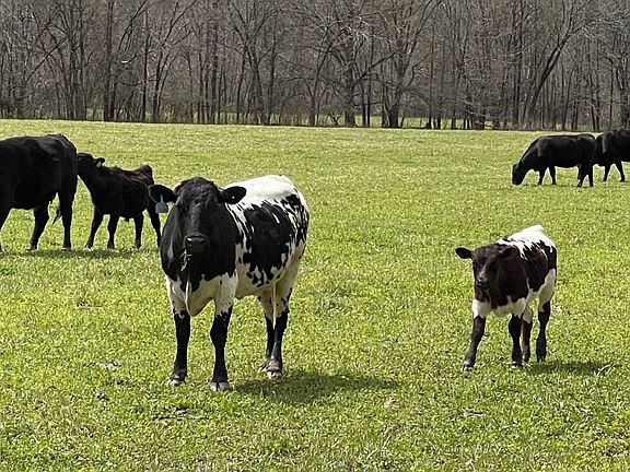 99th image of this home