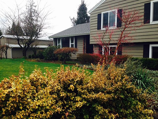 1st image of 41903 207th Ave SE