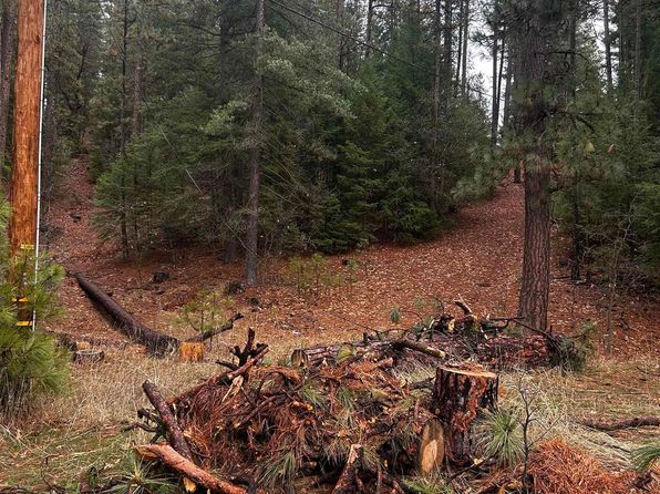 3095 N Valley Rd, Greenville, CA 95947
