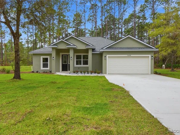11608 W Dragonhead Dr, Crystal River, FL 34428