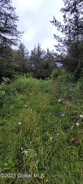2nd image of L35 Cooper Village Lane
