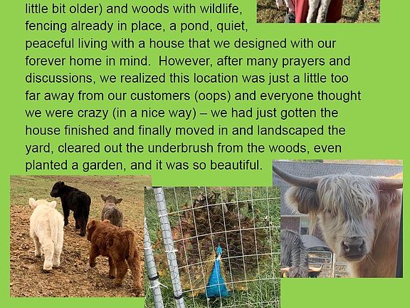 4th image of 1221 Johnson Branch Rd