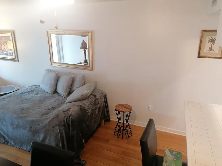 405 N Hibiscus Dr — Photo 16