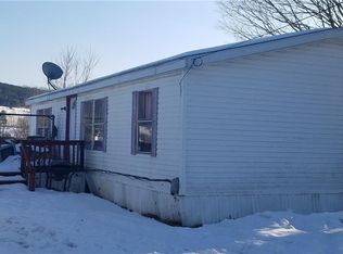 918 Doane Rd, Beaver Dams, NY 14812