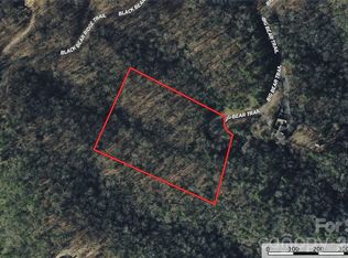 364 Big Bear Trl #24, Zirconia, NC 28790