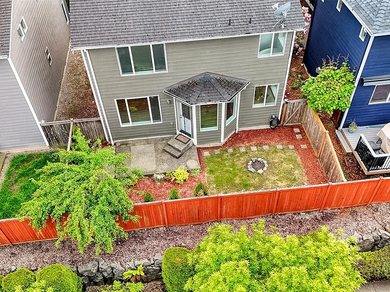 Backyard with a plum tree